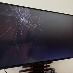 家電 テレビ 液晶テレビの画像