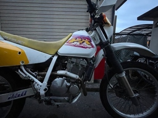 DR250R 美品　検)セロー、CRF、KLX