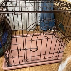 犬用ゲージ
