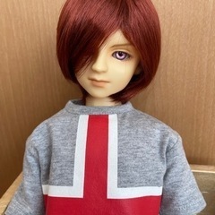 ボークス スーパードルフィー SD