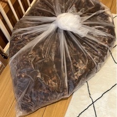 リクガメ飼育用品一式
の画像