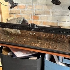 リクガメ飼育用品一式
の画像