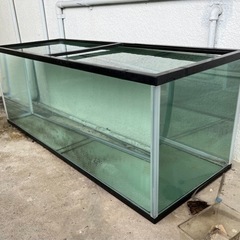 １２０センチ枠つき水槽
の画像