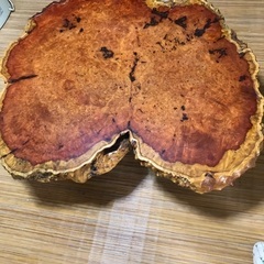 【希少一枚板】欅座卓　ちゃぶ台　床の間　盆栽飾り台の画像