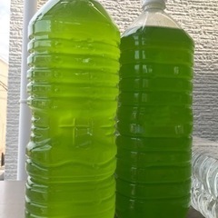 　500ml　グリーンウォーター 