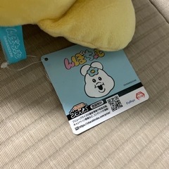 んぽちゃむ　 いっしょにねんね　 BIGぬいぐるみ　きみまろの画像