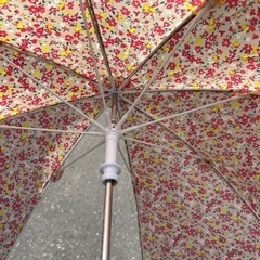 未満児用傘の画像