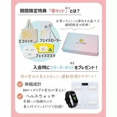 チョコザップ春キット新品未開封の画像