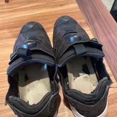 ポンプフューリー　26.5センチの画像