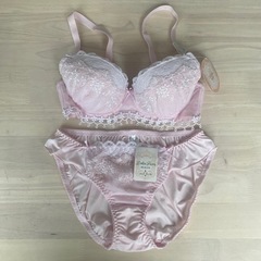 【お話中】D65 下着上下セット