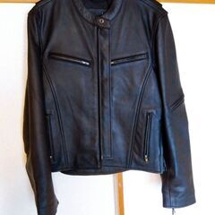 liugoo leathers　本革 高機能防寒仕様シングルライ...