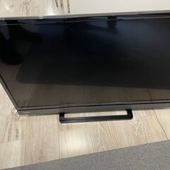 東芝TV　REGZA
