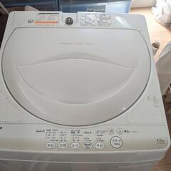 家電 生活家電 洗濯機