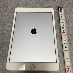 iPad mini 3