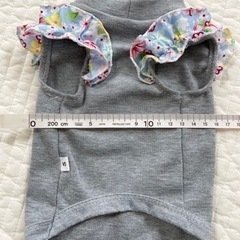 ペット服の画像
