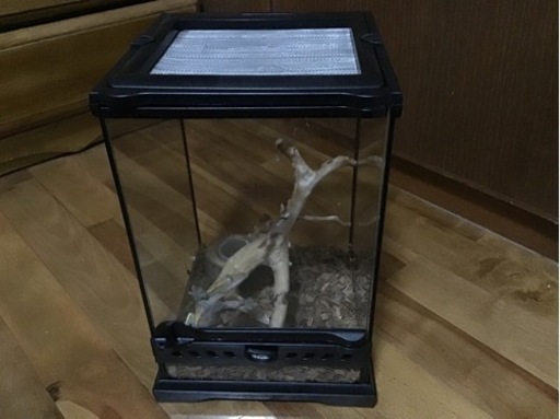 爬虫類飼育セット