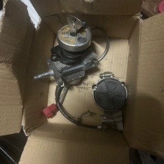 シグナスSE 12j