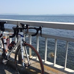 ロードバイク RIDLEY（Sサイズ）+105フルコンポ+カンパホイールの画像