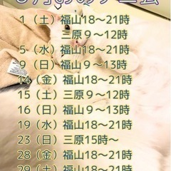 ６月おのテニ会（尾道ソフトテニス の会）2024 - 尾道市