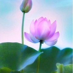 グチ・悩み相談🌸45分1050円🌸心理カウンセラーにお気軽…