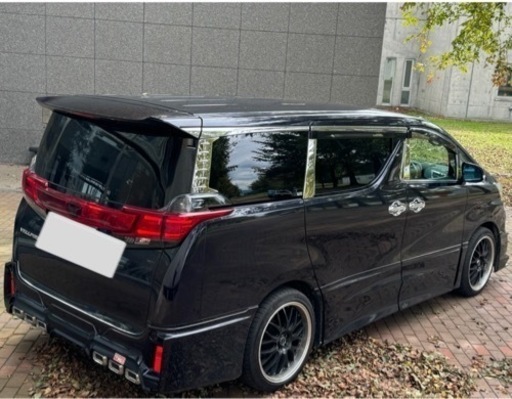 シックスセンス　テールゲートカバー　30ヴェルファイア