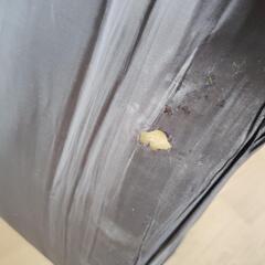 リクライニング座椅子の画像