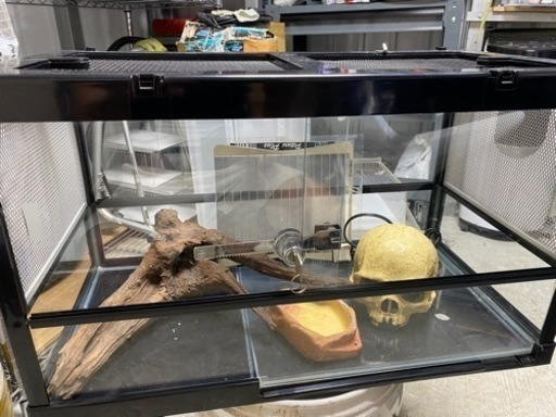 爬虫類　ゲージ　ケージ　レプタイルボックスワイド