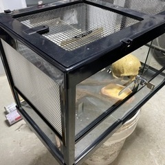 爬虫類　ゲージ　ケージ　レプタイルボックスワイドの画像