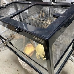 爬虫類　ゲージ　ケージ　レプタイルボックスワイドの画像