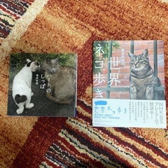 岩合光昭 ネコ 写真集