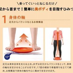 美品■PROIDEA プロイデア★美バランス ネジラッパー★立つだけで骨格補整!ねじればさらに体型補整◎楽しくて簡単♪下半身エクササイズ◎の画像