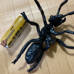 大きい蟻の画像