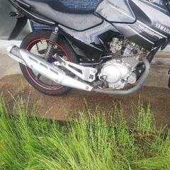 ヤマハ YBR125 の画像