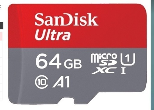ニンテンドーSwitch Lite グレー　micro sdカード付