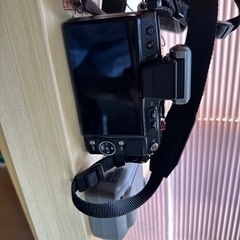 デジタル一眼の画像