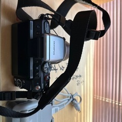 デジタル一眼の画像