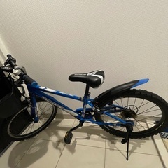 DRIDE S3  22インチ　6段変速　スピードメーター付