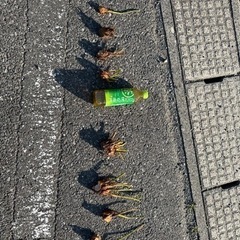 車のパーツ パーツ
