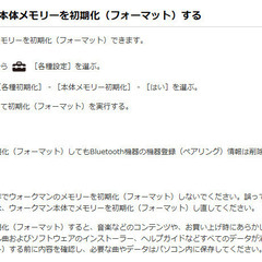 🎶SONYウォークマン  🎶NW-A805 ホワイト (2GB)の画像