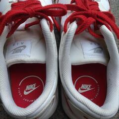 お話中です。ナイキシューズの画像