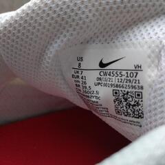 お話中です。ナイキシューズの画像