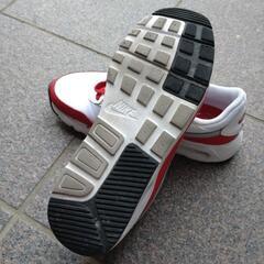 お話中です。ナイキシューズの画像