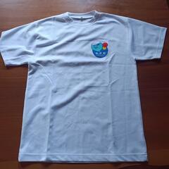 石垣島トライアスロンTシャツ