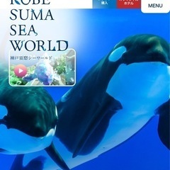 🐠宇宙水族館交流会🪐*°