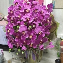 胡蝶蘭造花
