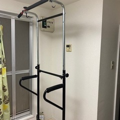 スポーツ フィットネス、トレーニング、懸垂機