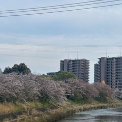 Magome川で韓国語散歩する方！