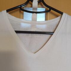 【受渡確定済】ブランドベーシックTシャツの画像