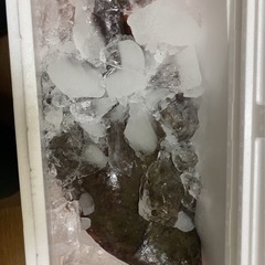 サーフ釣り教えてくれませんか？ - 友達