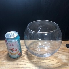 水槽　金魚鉢　メダカ鉢　の画像